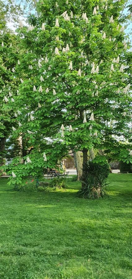 B&B Le Domaine Des Marcoujans Saint-Elix-le-Chateau Buitenkant foto